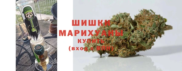 СК Ельня