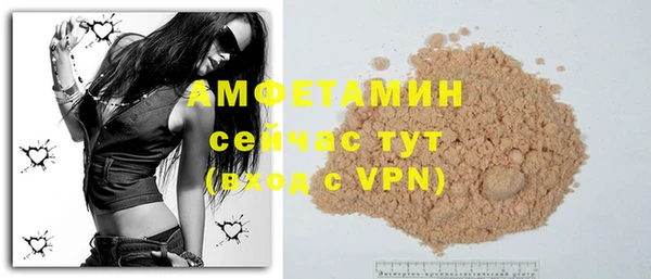 СК Ельня