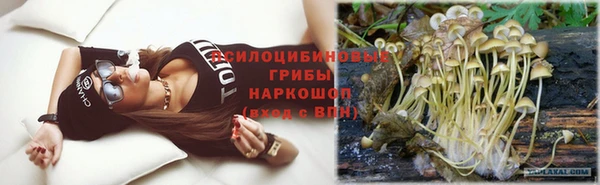 СК Ельня