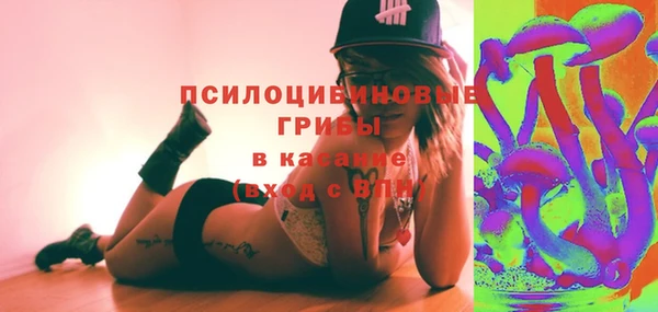 твердый Таштагол