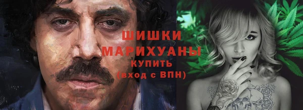 СК Ельня