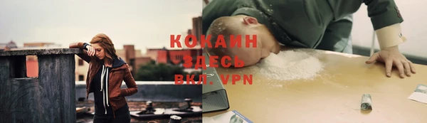 СК Ельня