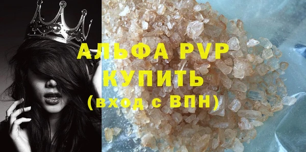 СК Ельня