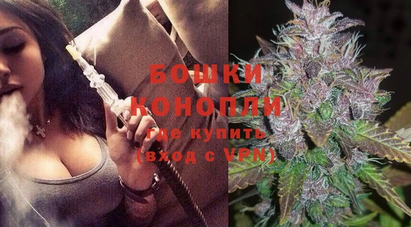 дживик Заводоуковск