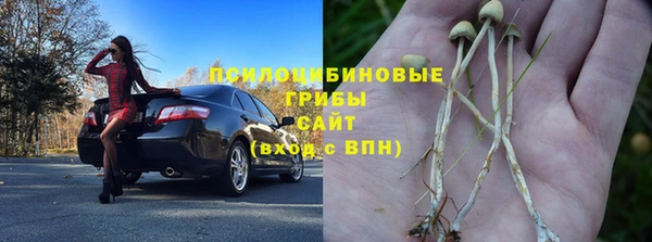 apvp Заволжск