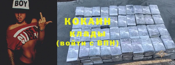 СК Ельня